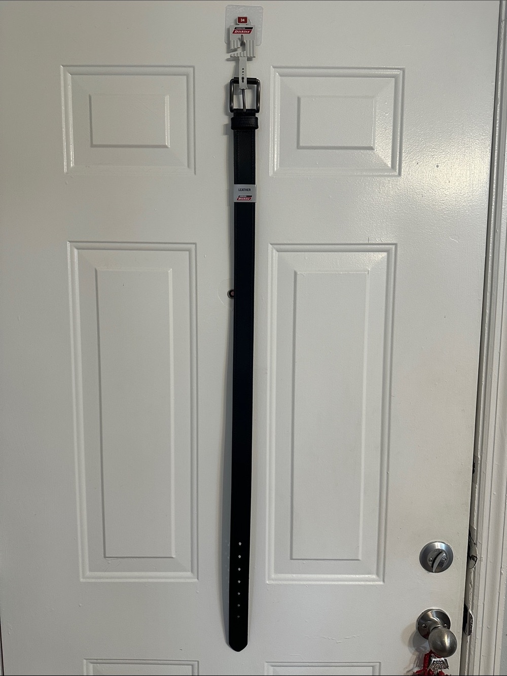 Dickies Black Belt Organizer Strap